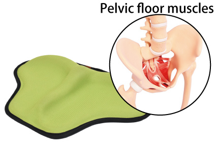 Seat cushion for pelvic floor training buy online